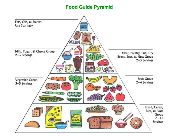 healthy lifestyle for families